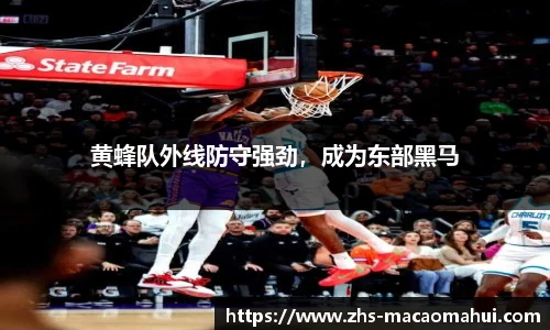 黄蜂队外线防守强劲，成为东部黑马